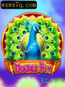Desvendando o Mundo de DoubleFly: Instruções e Regras